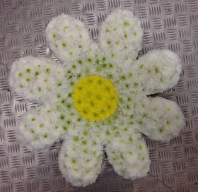 2D Daisy Flower