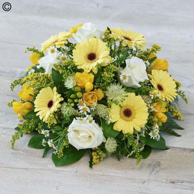 Scented Yellow Posy